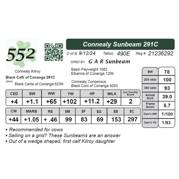 Connealy Sunbeam 291C