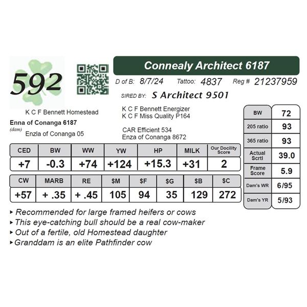 Connealy Architect 6187