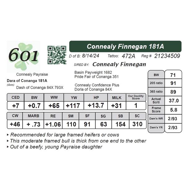 Connealy Finnegan 181A