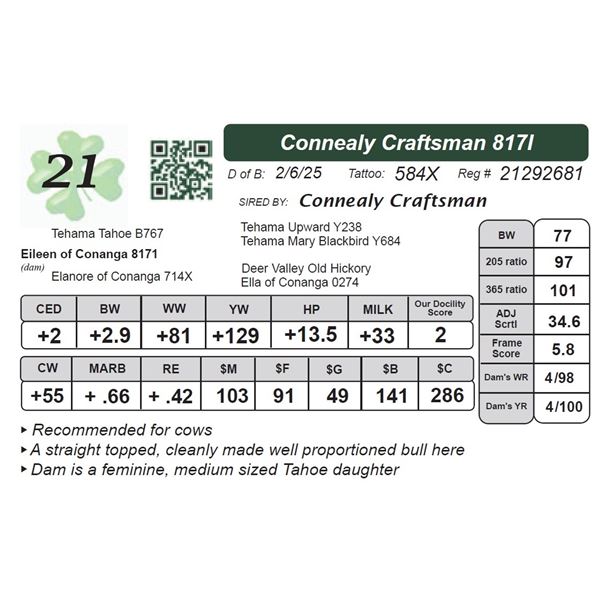 Connealy Craftsman 817I