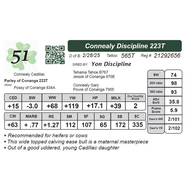 Connealy Discipline 223T