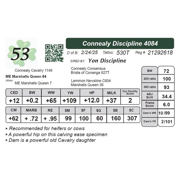 Connealy Discipline 4084