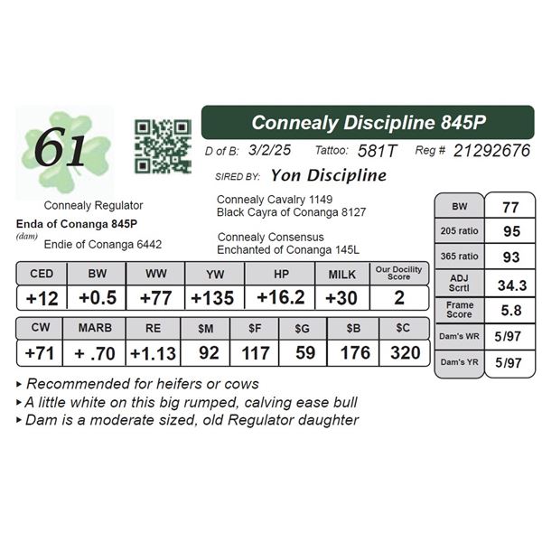 Connealy Discipline 845P