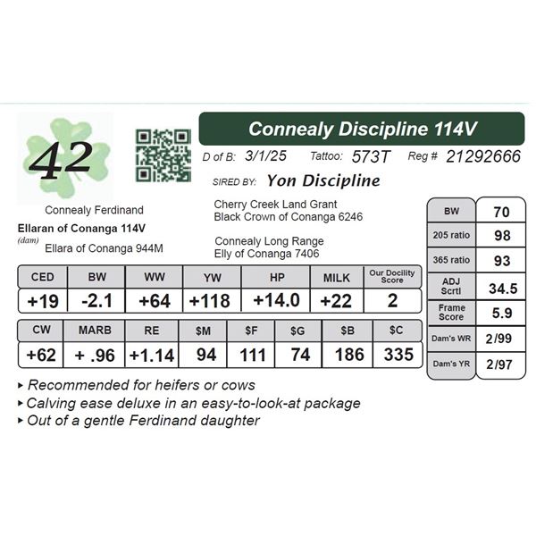 Connealy Discipline 114V