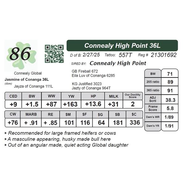 Connealy High Point 36L