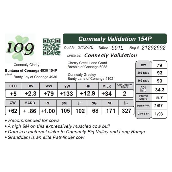 Connealy Validation 154P