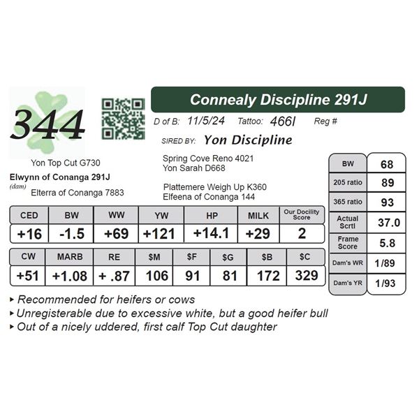 Connealy Discipline 291J