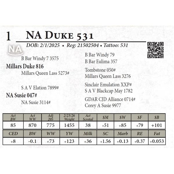 NA Duke 531