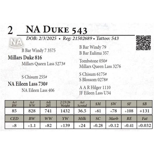 NA Duke 543