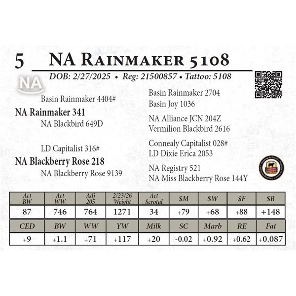 NA Rainmaker 5108