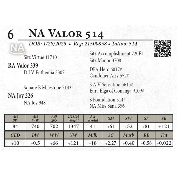 NA Valor 514