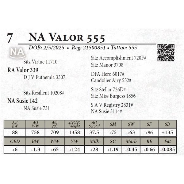 NA Valor 555