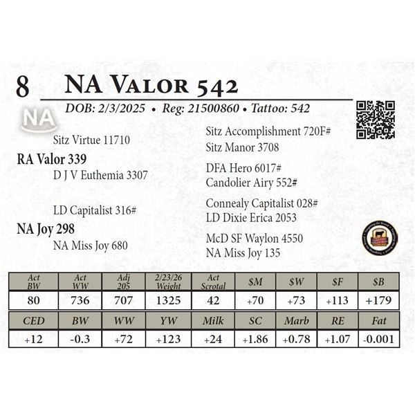 NA Valor 542