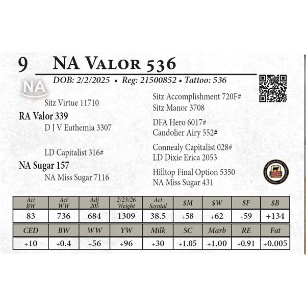 NA Valor 536