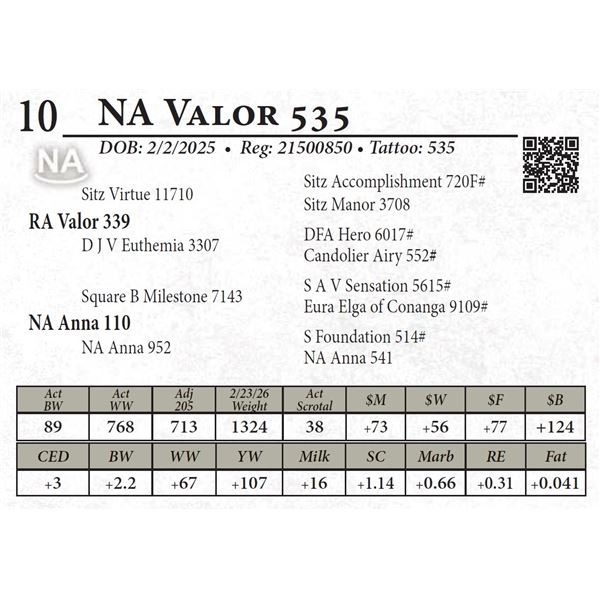 NA Valor 535