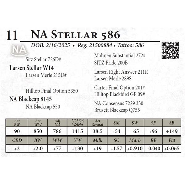 NA Stellar 586