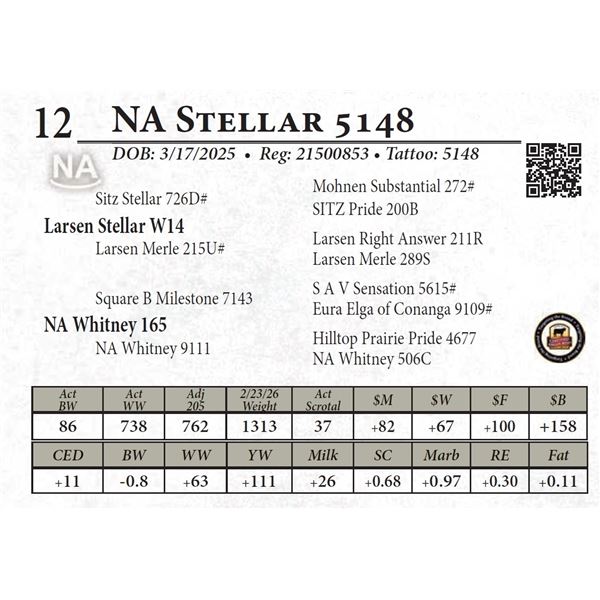 NA Stellar 5148