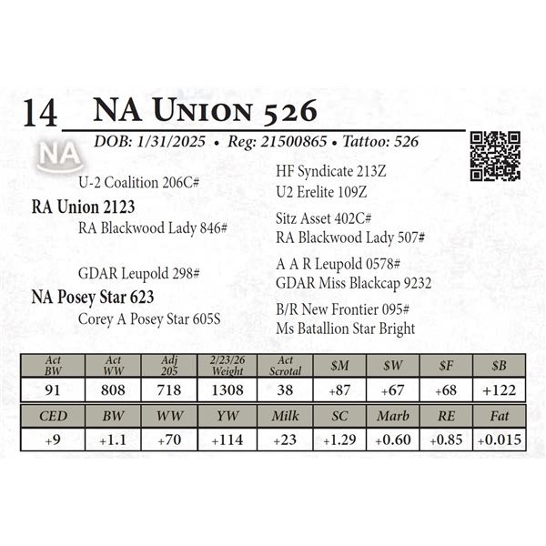 NA Union 526
