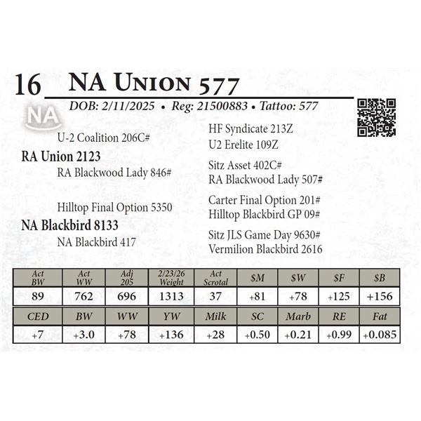 NA Union 577