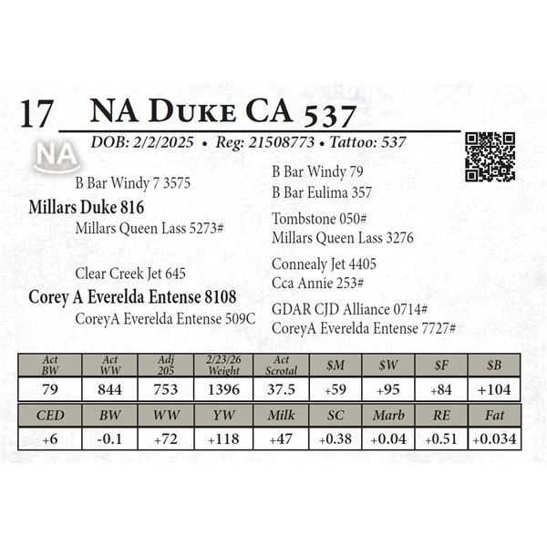 NA Duke CA 537