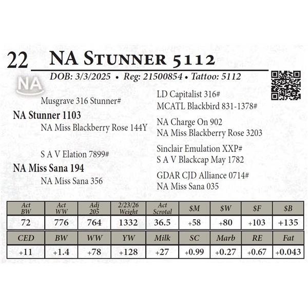 NA Stunner 5112