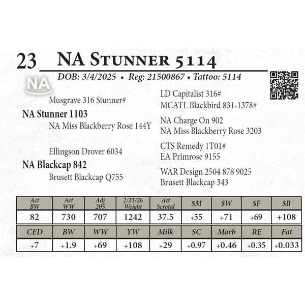 NA Stunner 5114