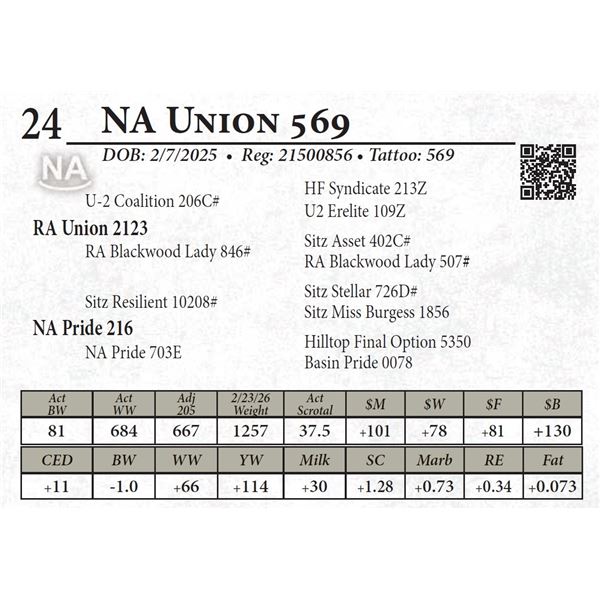 NA Union 569