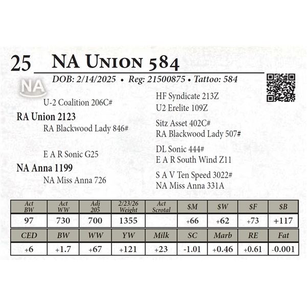 NA Union 584