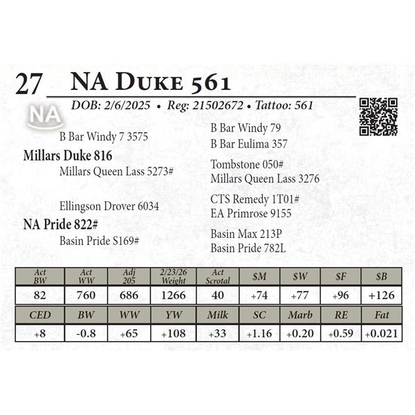 NA Duke 561