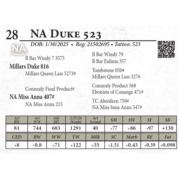 NA Duke 523