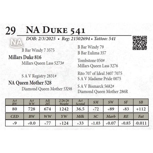 NA Duke 541