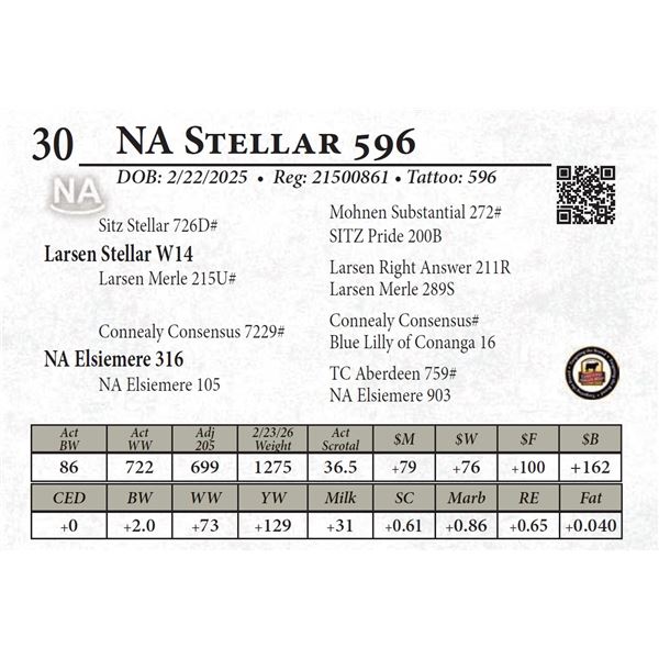 NA Stellar 596