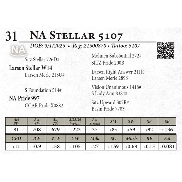 NA Stellar 5107