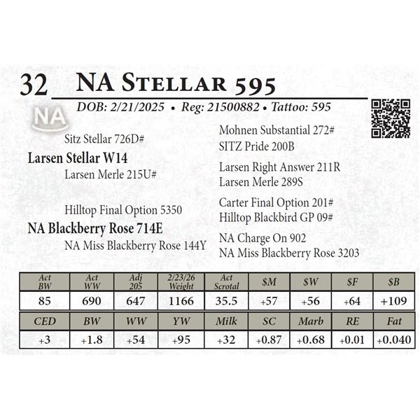NA Stellar 595