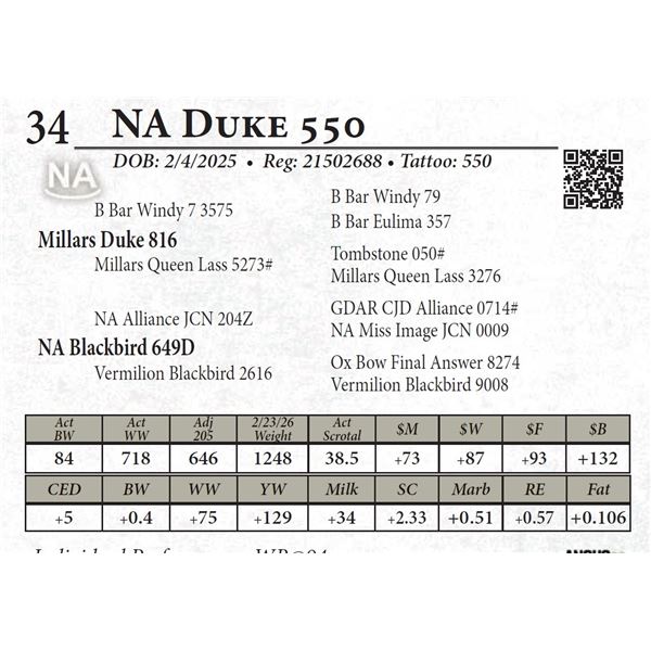 NA Duke 550