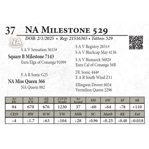 NA Milestone 529