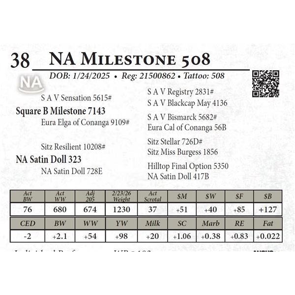 NA Milestone 508