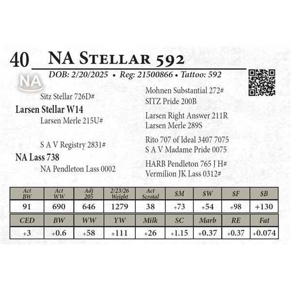 NA Stellar 592