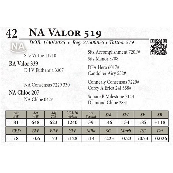 NA Valor 519