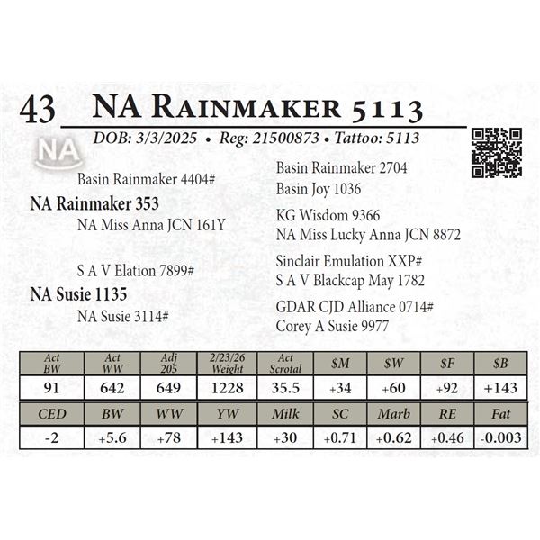 NA Rainmaker 5113