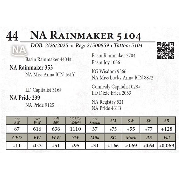NA Rainmaker 5104