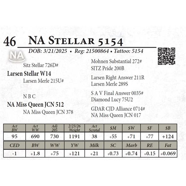 NA Stellar 5154