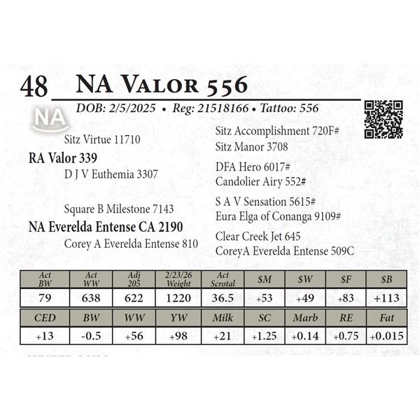 NA Valor 556