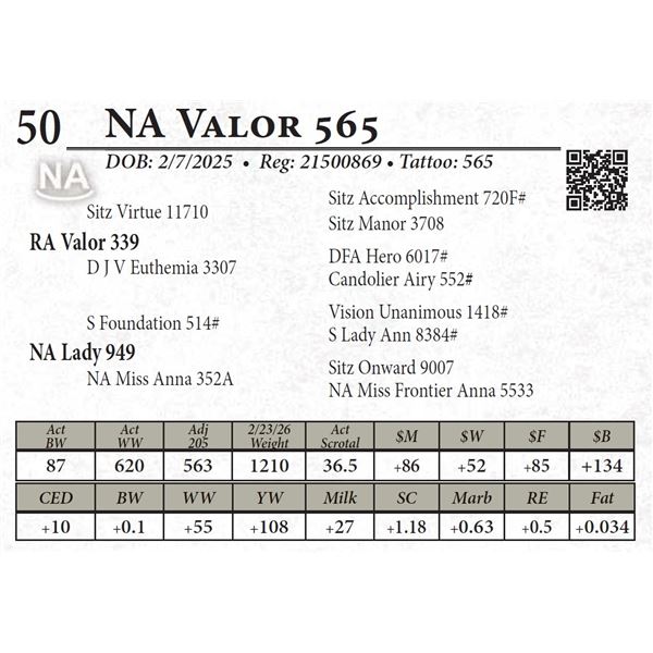 NA Valor 565