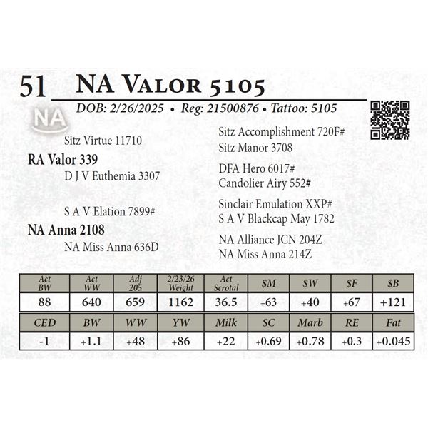NA Valor 5105