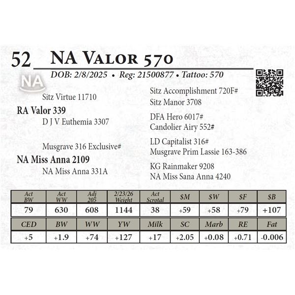 NA Valor 570