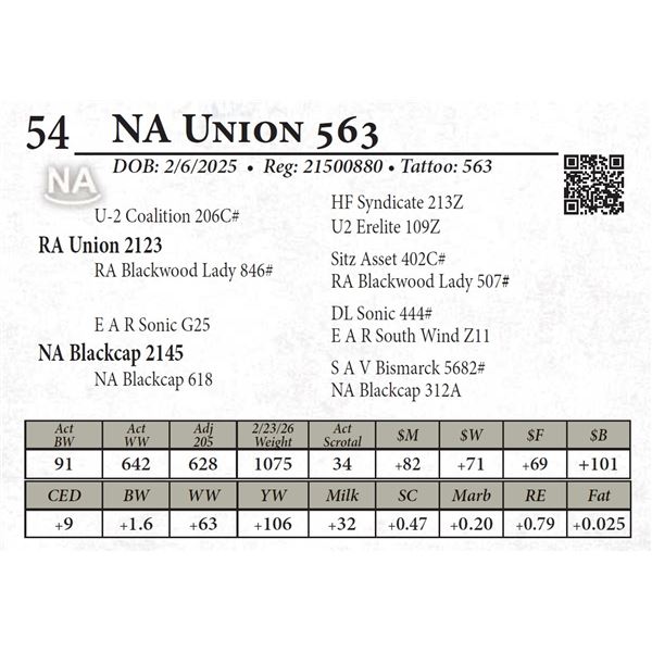 NA Union 563