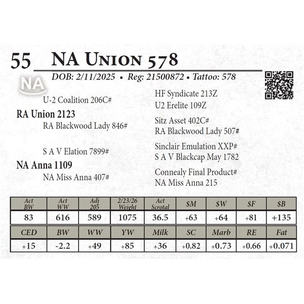 NA Union 578