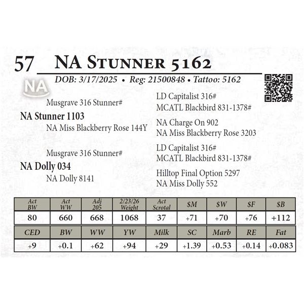 NA Stunner 5162