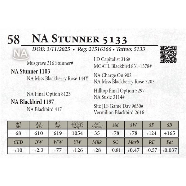 NA Stunner 5133